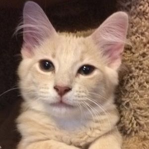 Meet your Posher, Morganne